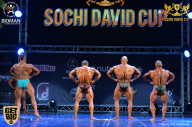 Sochi David Cup - 2017