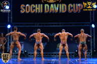 Sochi David Cup - 2017