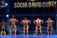 Sochi David Cup - 2017