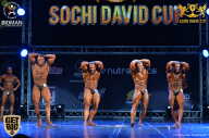 Sochi David Cup - 2017