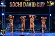 Sochi David Cup - 2017