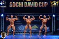 Sochi David Cup - 2017