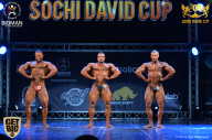 Sochi David Cup - 2017