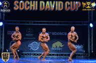 Sochi David Cup - 2017