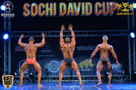 Sochi David Cup - 2017