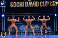 Sochi David Cup - 2017