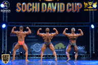 Sochi David Cup - 2017