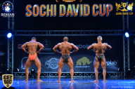 Sochi David Cup - 2017