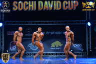 Sochi David Cup - 2017