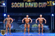 Sochi David Cup - 2017