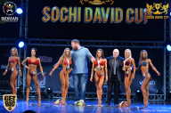 Sochi David Cup - 2017