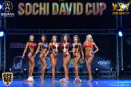 Sochi David Cup - 2017