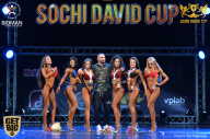 Sochi David Cup - 2017