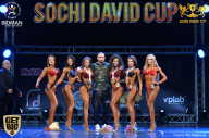 Sochi David Cup - 2017