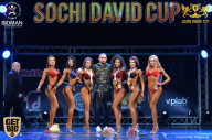 Sochi David Cup - 2017