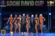 Sochi David Cup - 2017