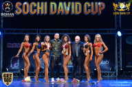 Sochi David Cup - 2017