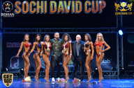 Sochi David Cup - 2017