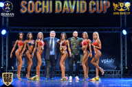 Sochi David Cup - 2017