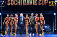 Sochi David Cup - 2017