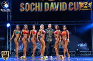 Sochi David Cup - 2017