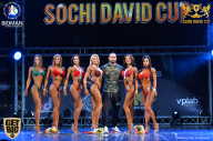 Sochi David Cup - 2017