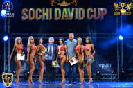 Sochi David Cup - 2017