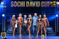 Sochi David Cup - 2017