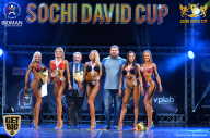 Sochi David Cup - 2017