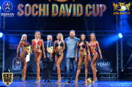 Sochi David Cup - 2017