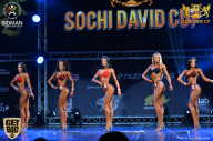 Sochi David Cup - 2017