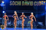 Sochi David Cup - 2017