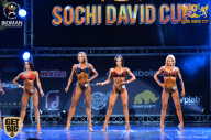 Sochi David Cup - 2017