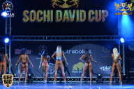 Sochi David Cup - 2017