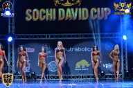 Sochi David Cup - 2017