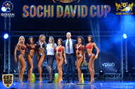 Sochi David Cup - 2017