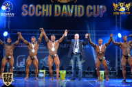 Sochi David Cup - 2017