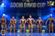 Sochi David Cup - 2017