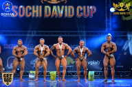 Sochi David Cup - 2017