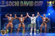 Sochi David Cup - 2017