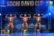 Sochi David Cup - 2017