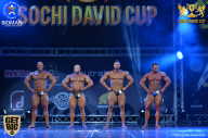 Sochi David Cup - 2017