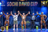 Sochi David Cup - 2017