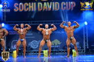 Sochi David Cup - 2017