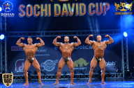 Sochi David Cup - 2017