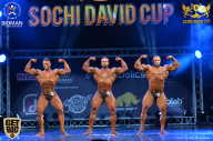 Sochi David Cup - 2017