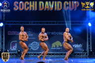 Sochi David Cup - 2017