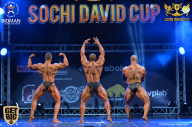 Sochi David Cup - 2017