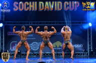 Sochi David Cup - 2017