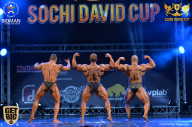 Sochi David Cup - 2017